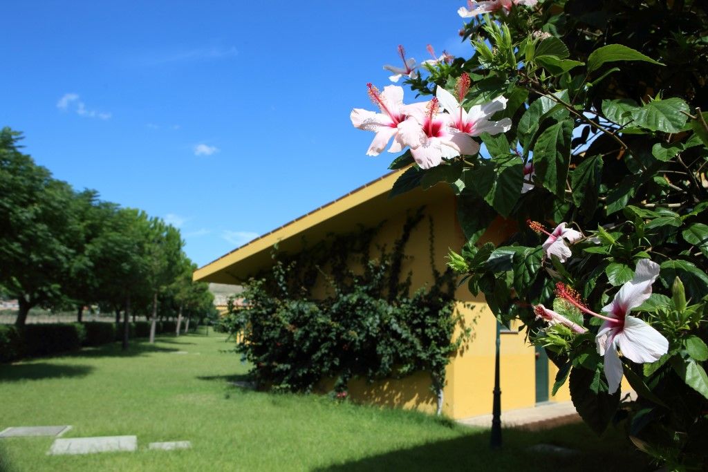 Marina Del Marchese Beach Resort Botricello Luaran gambar